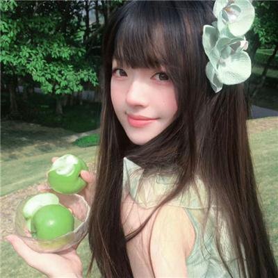 妖精森林的小不点